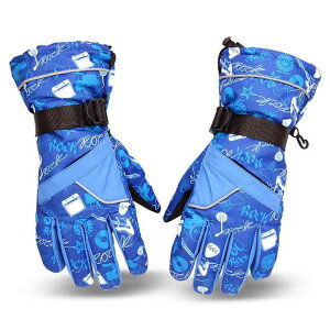 O[u Y h ۉ h h ϖ ~p XL[ Xm[{[h EB^[X|[c 5{w iCf u[ OtBbNbh XgCvO[