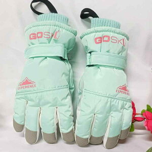  LbY q j̎q ̎q jp XL[ Xm[{[h Vїp ʊw h h ۉ N  h AEghA TCNO O[u