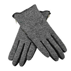  fB[X {v rv h ۉ w AEghA ^] hCu TCNO ] ~p O[u t@bV ʋ ʊw p O[