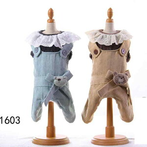  JWA ȑf _炩 Lk K  h іh~  U H~  l p[X Ȃ ^ ^ 킢 u[ J[L