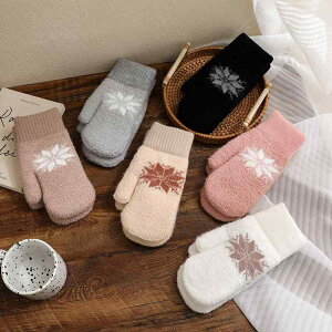  fB[X w  ۉ h ~g 킢 ԕ {A  tFCNt@[ ʊw ʋ JWA  ؍ sN zCg O[ ~(x2)