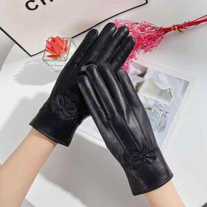  fB[X h h ۉ h N rv O[u TCNO ^] ʋ ʊw ~p H~ 킢 GKg i ؍ t[TCY ʃJ[(x2)