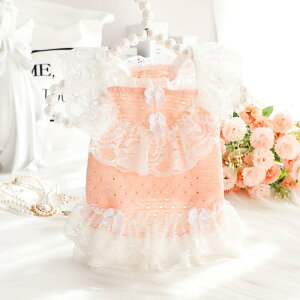  ^ efB Lp t  y Rbg [X vZXhX s[X hbg   킢 ybgEFA sN p[v O[