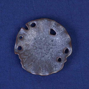  a ͂@ 퐻 _ Vv R[X^[  vZbg   q p  p qp 