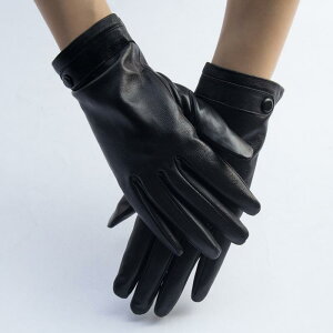  fB[X p {v rv U[O[u ꖇv ۉ h g  N {A TCNO hCu ^] ʋ JWA Vv {^ H~