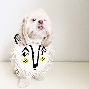 X^C xr[ jp ɗD 悾ꂩ jbg LN^[ CI  Rbg F Ԃ oYj Mtg v[g Hp