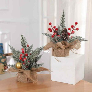 NX}Xc[  ~j 25cm lH Ԃt PEf tFCN RpNg  킢 NX}X fR[V IuWF CeA fBXvC