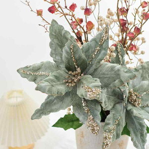 NX}X  傫 z  ΐF NX}Xc[ I[ig  Cxg p[eB[ CeAfR[V