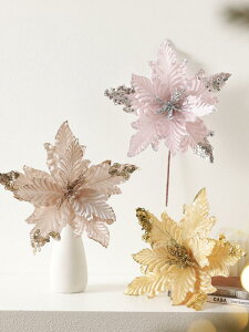 NX}XI[ig   XpR[ 炫 ؍ 25cm NX}Xc[ fR[V VpS[h sN bh S[h CeAG