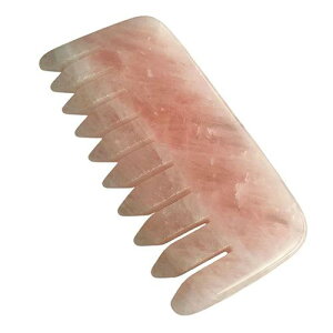 }bT[WR[  VR [YNH[c g Ő WFCh wAuV  o c{ si bNX e N ق v[g (x2)