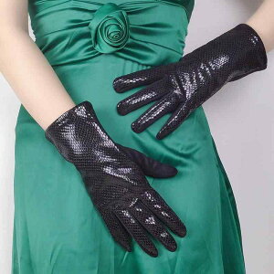  fB[X h N ۉ ^b`plΉ pC\ ֕ tFCNXG[h XG[h ܖ{w hCrO ^] TCNO oCN O[u H~  ʋ JWA