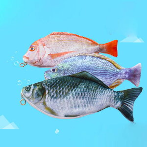 �y���P�[�X �L�b�Y ���w�� �j�̎q ���̎q �j�����p �؍��� �������� ���A�� �t�i �� �t�B�b�V���f�U�C�� �|���G�X�e���� �ʊw �w�Z �׋� ���[����� �M��