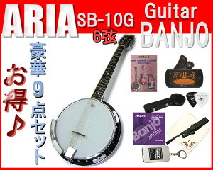 y9_ZbgIzAria/AA SB-10G n[hP[Xt M^[oW[ u[OXJg[~[WbNɁI