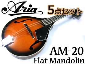 【在庫あり！即日出荷！】【嬉しい5点セット！】Aria/アリア AM-20 ベーシックモデル フラットマンドリン カントリーミュージックやブルーグラスに！