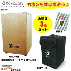 【今だけポイントUP！4月29日まで】ケース付き！ クラシカルカホン ボスハンズ BOTH HANDS BH CALSSICAL CAJON BHC-P01 調整可能なワイヤータイプ カホーン【RCP】 spslcaj