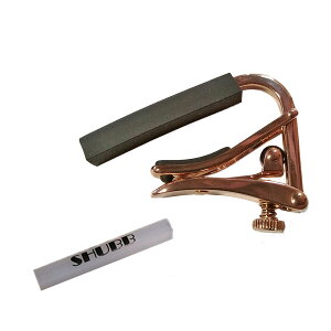 NAX[ut SHUBB J|^Xg 12M^[p C2g-rose + R-1/C