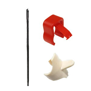 yR[_[ZbgzyAULOS Zbgz \vmR[_[pw 302B 303Bp AC{[{|_{Sordinella