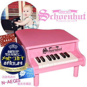 ybZ[WJ[hv[gIzVF[nbg 18 ~jOhsAm sN 18-Key Pink Mini Grand Piano 189P Schoenhut gCsAm NX}Xv[gAav[gɁj̎q