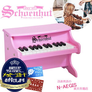 ybZ[WJ[hv[gIzVF[nbg 25 ~jsAm sN 25-Key Pink My First Piano II 2522P Schoenhut gCsAm NX}Xv[gAav[gɁj̎q 
