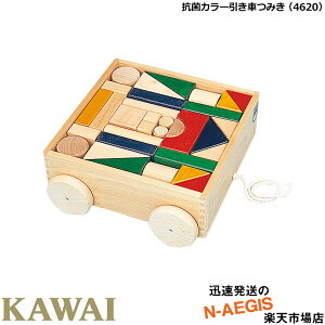 ybsOΉzKAWAI/JC RۃJ[Ԃ݂ 4620 ςݖؐF53 v[gɍœKI ͍y퐻쏊yyMt_IzyyMt_̂z