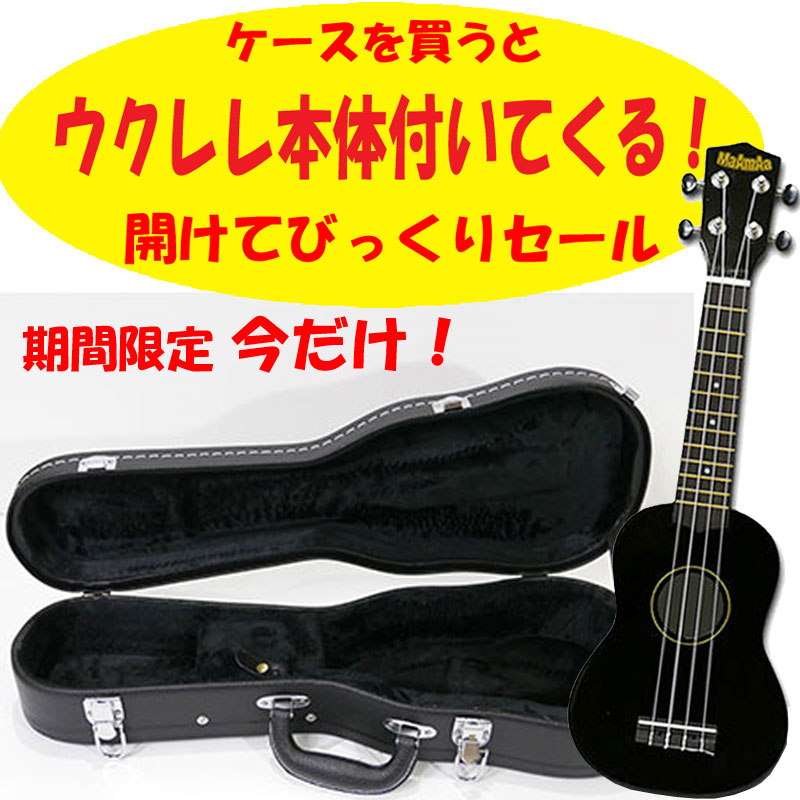 【楽天市場】シャドウ アコースティックギター用 外付け