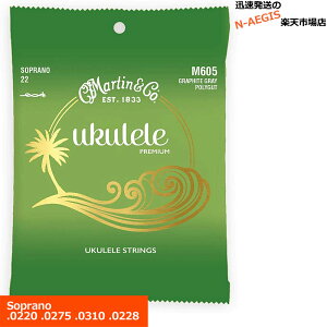 y|Cg5{ubNtCf[ԌzMartin EN M-605×1Zbg Graphite Grey Polygut \vmpyP2z