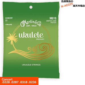 Martin EN M-610×1Zbg Graphite Grey Polygut RT[gpyP2z