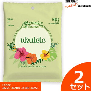 1Zbg1,000~IMartin EN M-620×2Zbg Fluorocarbon ei[pyP2z