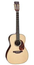 【今だけポイントUP！4月29日まで】TAKAMINE SA461 N タカミネ／高峰楽器