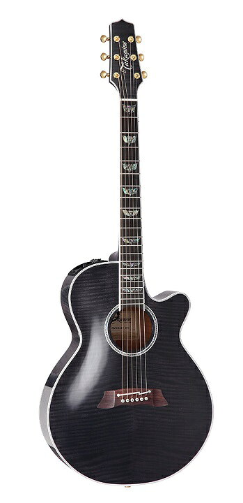 楽天市場】TAKAMINE/タカミネ TDP181AC SBL レギュラーモデル TDP 