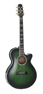 TAKAMINE/^J~l TDP181AC SGS M[f TDP-181AC GNgbNAR[XeBbNM^[/GAR