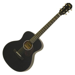 ARIA ~jAR[XeBbNM^[ ARIA-151MTBK(Black, Matt) P[Xt AA ARIA-151 MTNyP2z
