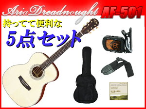 y}\ԃ|Cg5{zySҌ5_ZbgzAria Dreadnought AF-501/NAT i` gbvETChFI[\bh AuditoriumiI[fBgAjTCY tH[NTCY AAhb