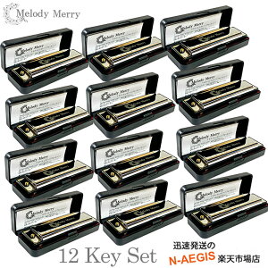 �����f�B�����[ 10�z�[��(10��)�n�[���j�J �t���Z�b�g Melody Merry MH-100 SET �u���[�X�n�[�v�Z�b�g key :C�AD��AD �AE��(D#)�AE�AF�AF#�AG�AA��(G#)�AA�AB��(A#)�AB �S12�L�C���R���v���[�g�Z�b�g