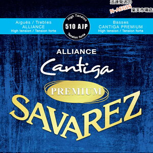 y1ZbgzNVbNM^[ nCeV ToX SAVAREZ 510AJP AAX JeB[Kv~A
