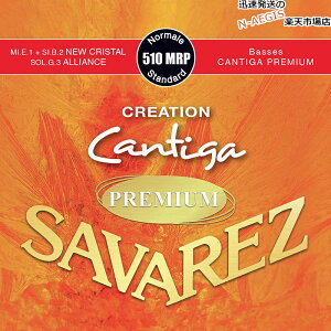 y|Cg5{ubNtCf[Ԍzy1ZbgzNVbNM^[ m[}eV ToX SAVAREZ 510MRP NGCV JeB[Kv~A