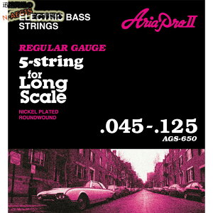【ポイント10倍！今だけ！】アリアプロ2 ベース弦 5弦ベース用 ロングスケール Aria Pro II AGS-650 Long Scale Bass×1セット