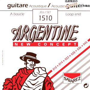 y|CgupI25܂ŁzToX AR[XeBbNM^[ WYM^[ [vGh SAVAREZ ARGENTINE -Loop End- Jazz Guitar 1510×1Zbg