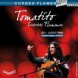 y1ZbgzNVbNM^[ nCeV ToX SAVAREZ T50J g}eB[g VOlC`[ tR CLASSICAL GUITAR