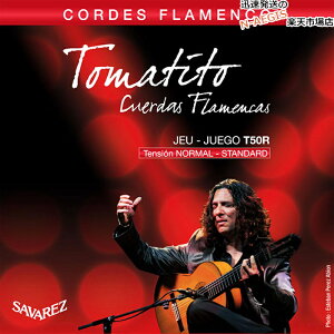 y1ZbgzNVbNM^[ m[}eV ToX SAVAREZ T50R g}eB[g VOlC`[ tR CLASSICAL GUITAR