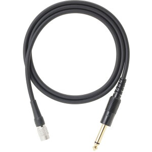 I[fBIeNjJ audio-technica AT-GcWB CXpyڑP[u