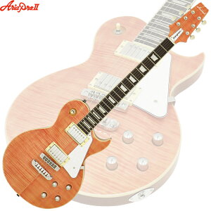 GLM^[ AriaProII PE-AE200 MP ~XeB[sN pP[Xt Go[O[V[Y