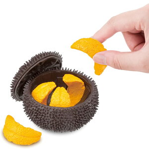 ɃpY ̃pYLite a NX}X Mtg v[gɂIXX  KnEX bsOΏۊOł