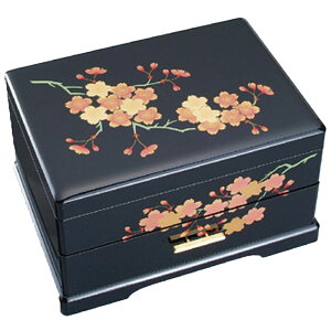 ÓhΔIS[  ř jfbNCXcc IS[