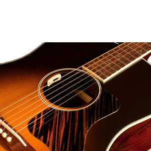 L.R.Baggs �G���A�[���o�b�O�X Anthem SL