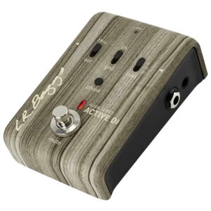 L.R.Baggs �G���A�[���o�b�O�X Align ACTIVE DI