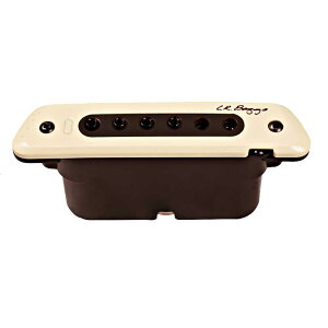L.R.Baggs �G���A�[���o�b�O�X M80