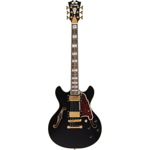 D'Angelico M^[ Excel Mini DC Black