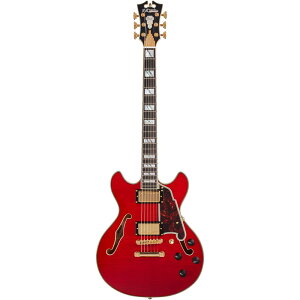 D'Angelico M^[ Excel Mini DC Trans Cherry