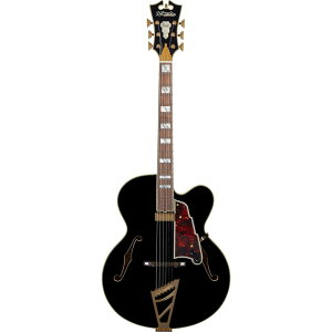 D'Angelico �M�^�[ Excel EXL-1 Black